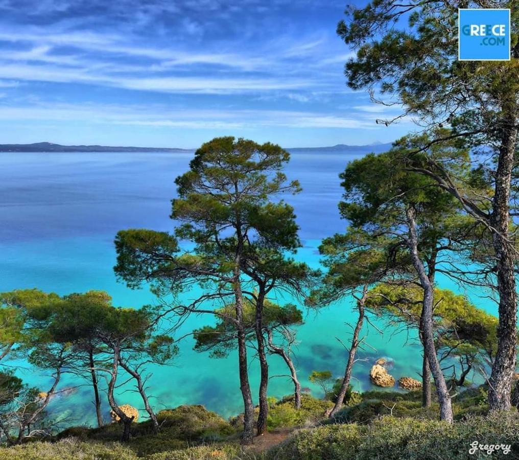 Appartement Dream Sea View