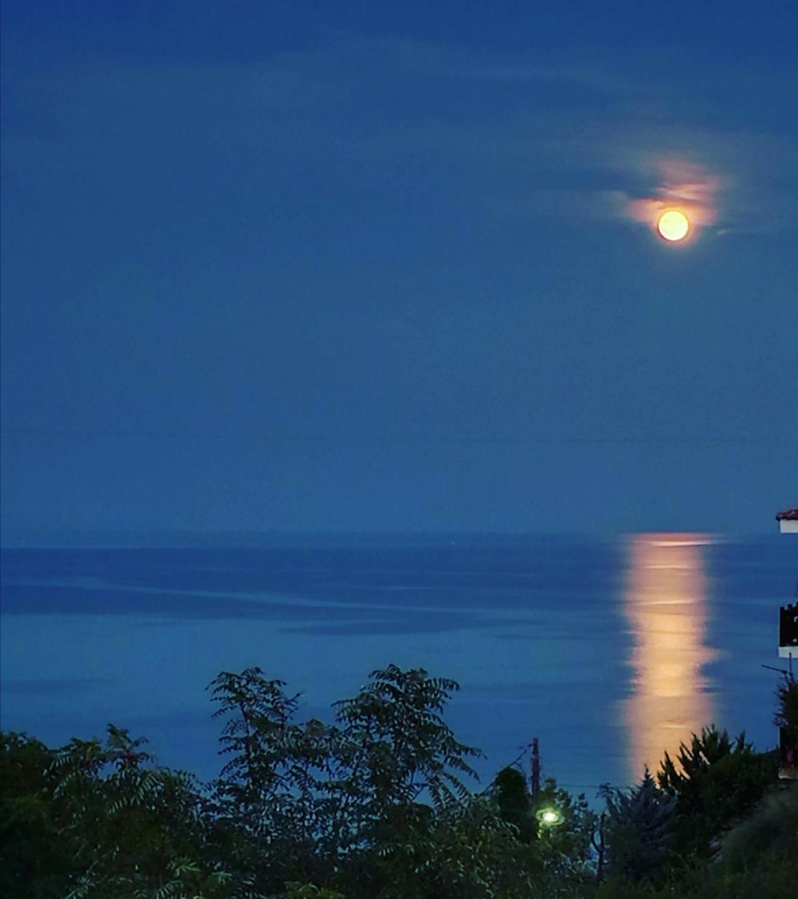 Dream Sea View Appartement